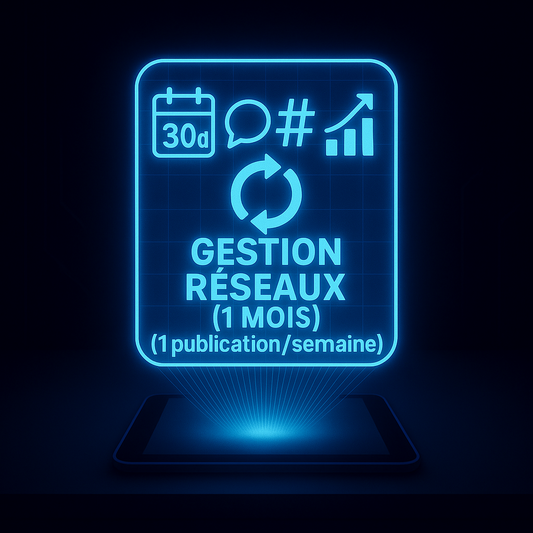 Gestion des Réseaux (1 Mois) – Boost, cohérence & accompagnement